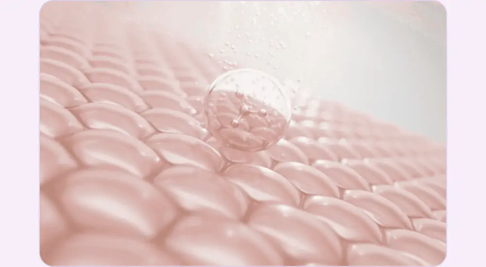 [스무살 앰플] 아이디플라코스메틱 엑소브이 플러스 앰플 30ml 상세페이지 27